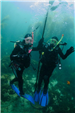 Scuba Diving 10