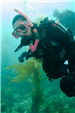 Scuba Diving 9